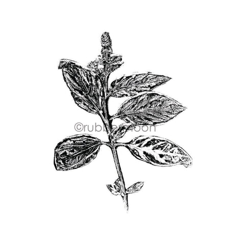 Elizabeth St. Hilaire | ES7331i - Basil - Rubber Art Stamp