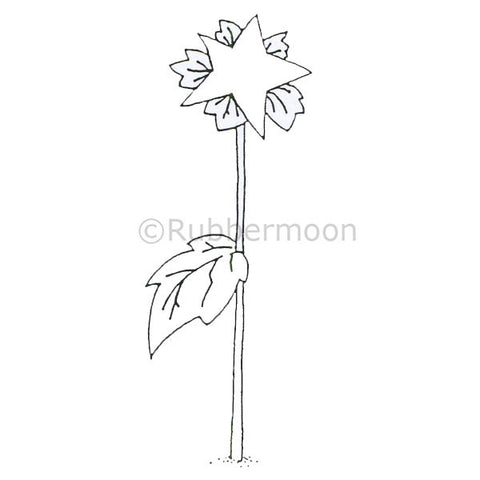 Dave Brethauer | DB4682H - Starflower (large) - Rubber Art Stamp