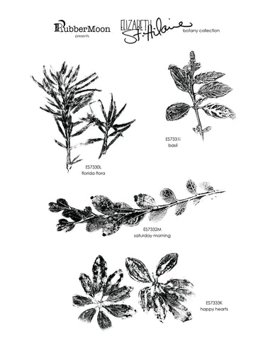 Elizabeth St. Hilaire | Botany Stamp Set | ESB04